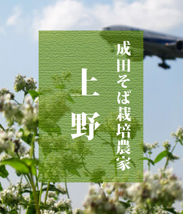 成田蕎麦栽培農家上野